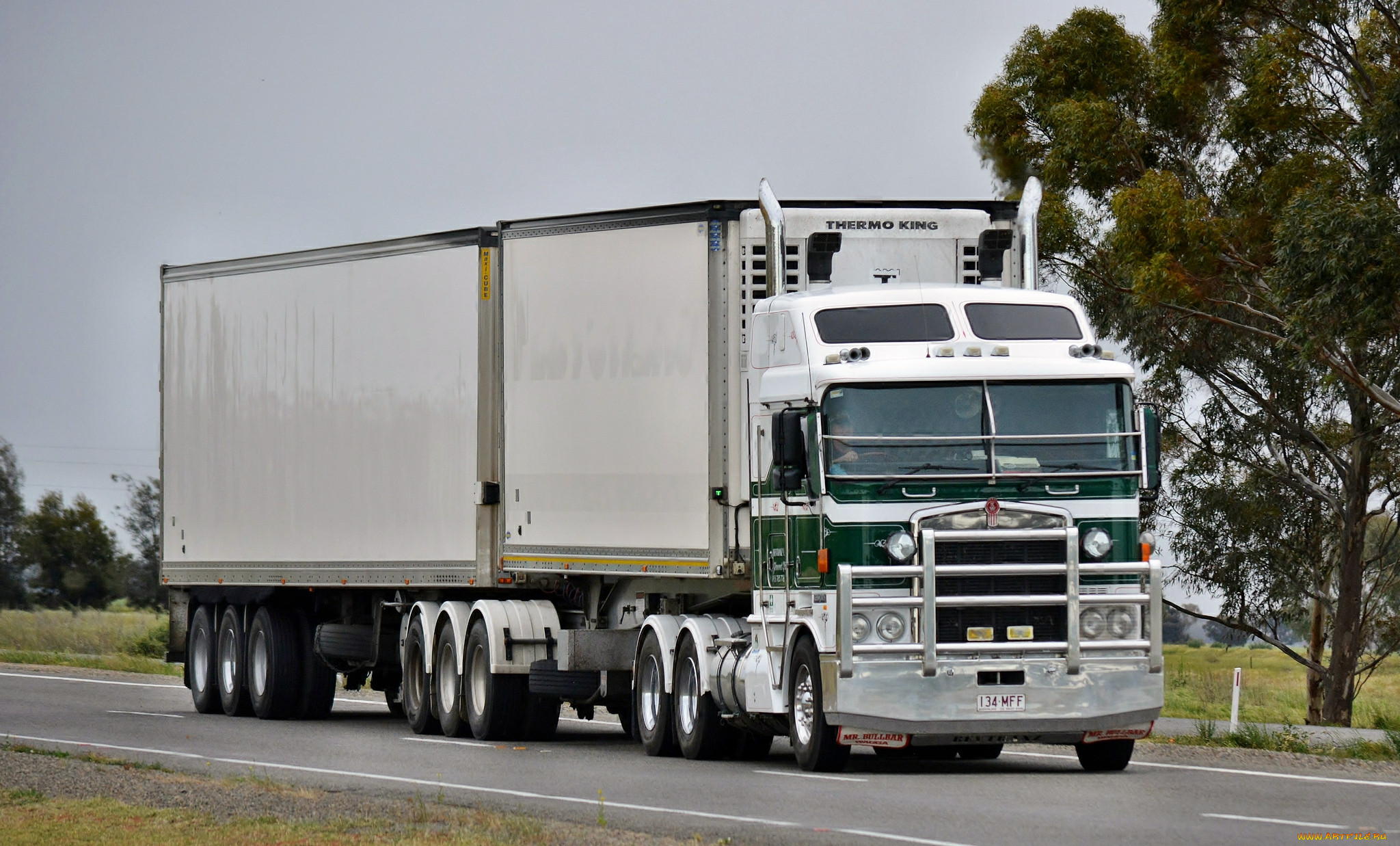 kenworth, , , , , truck, company